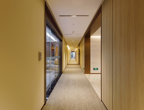 4,5 mm brandskyddsskiva